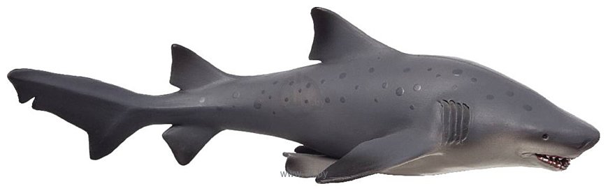 Фотографии Konik Обыкновенная песчаная акула большая AMS3024