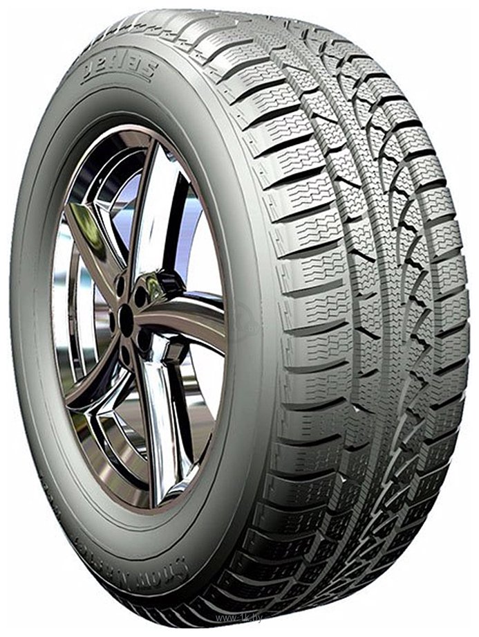 Фотографии Petlas SnowMaster W651 205/45 R17 88H