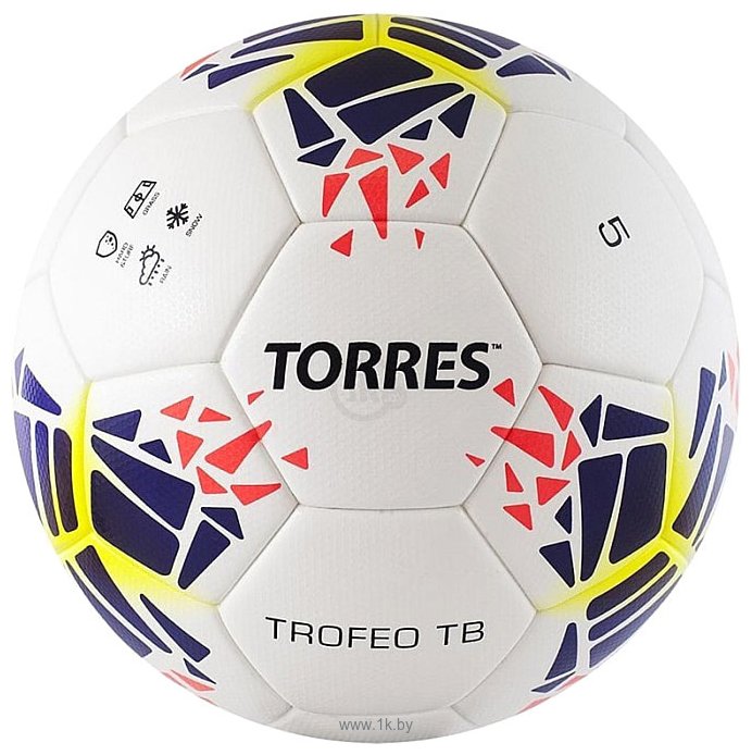 Фотографии Torres Trofeo TB F42115 (5 размер)