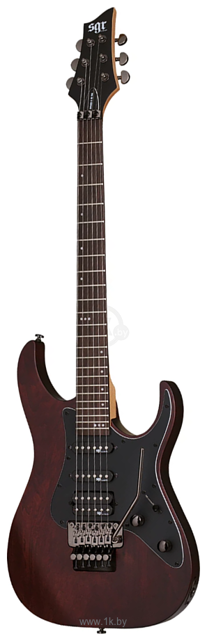 Фотографии Schecter Banshee-6 FR SGR WSN