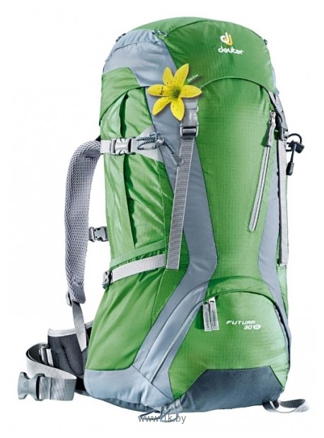 Фотографии Deuter Futura SL 30 grey/green