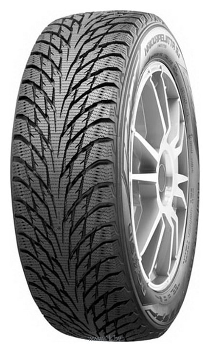 Фотографии Nokian Hakkapeliitta R2 215/50 R17 95R