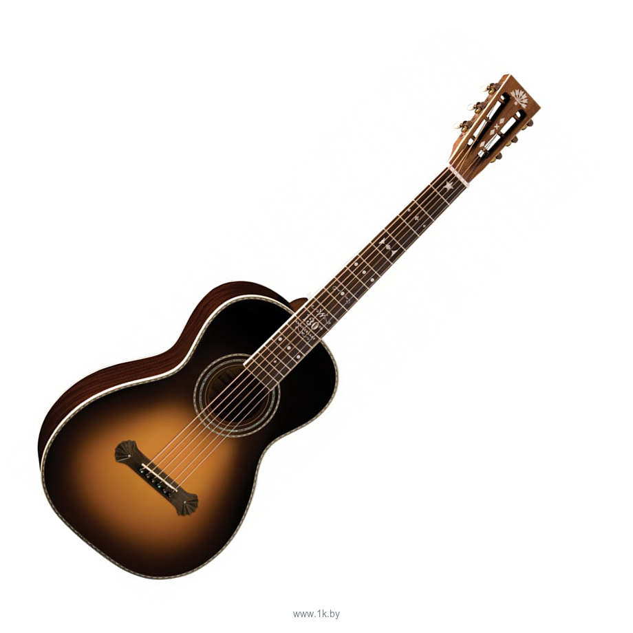 Фотографии Washburn WP130SLTD