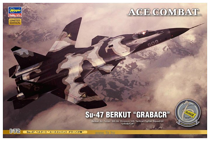 Фотографии Hasegawa Su-47 Berkut Ace Combat "Grabacr"