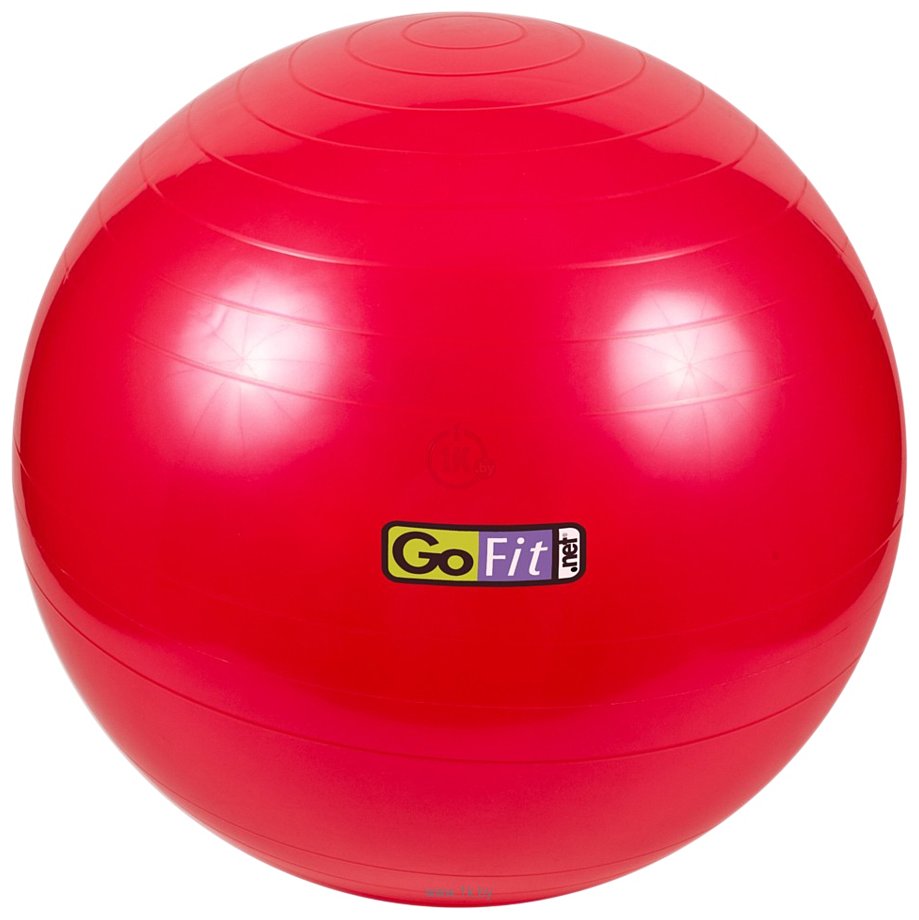 Фотографии Go Fit Stability Ball 55 см