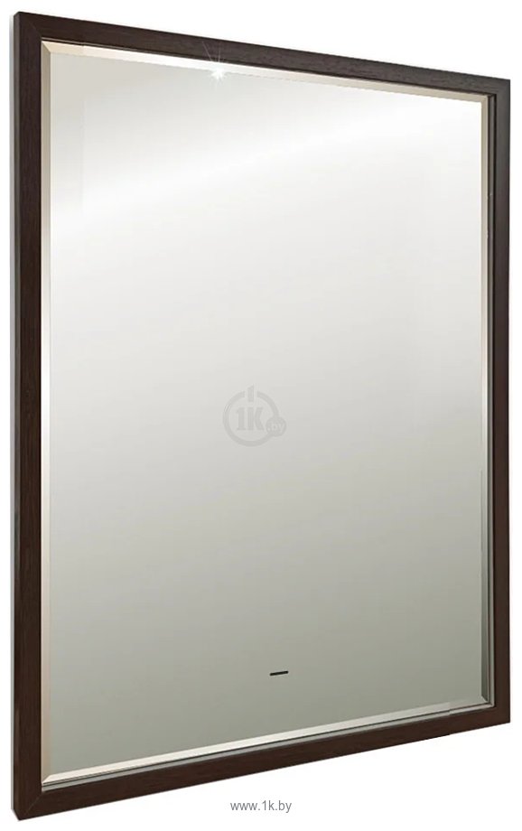 Фотографии Silver Mirrors  Эдисон 65x90 LED-00002722