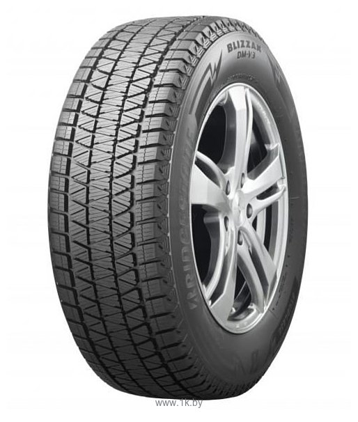 Фотографии Bridgestone Blizzak DM-V3 315/35 R20 110T