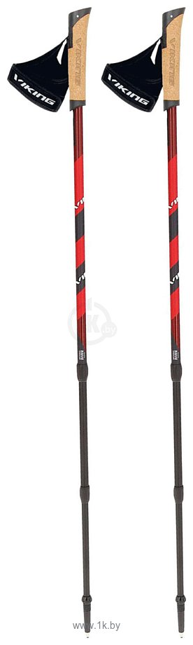 Фотографии Viking Kube Pro Nordic Walking