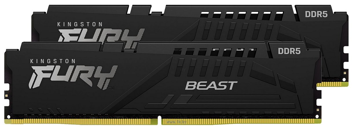 Фотографии Kingston Fury Beast KF564C32BBK2-32