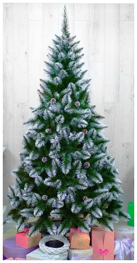Фотографии Holiday trees Cнежная Б Ш 1 м
