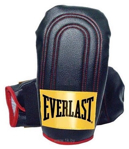 Фотографии Everlast Gym Speed Bag Gloves