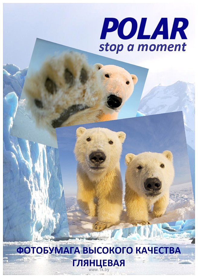 Фотографии Polar в рулоне глянцевая 610 мм x 30 м, 180 г/м2 (A1G6672)