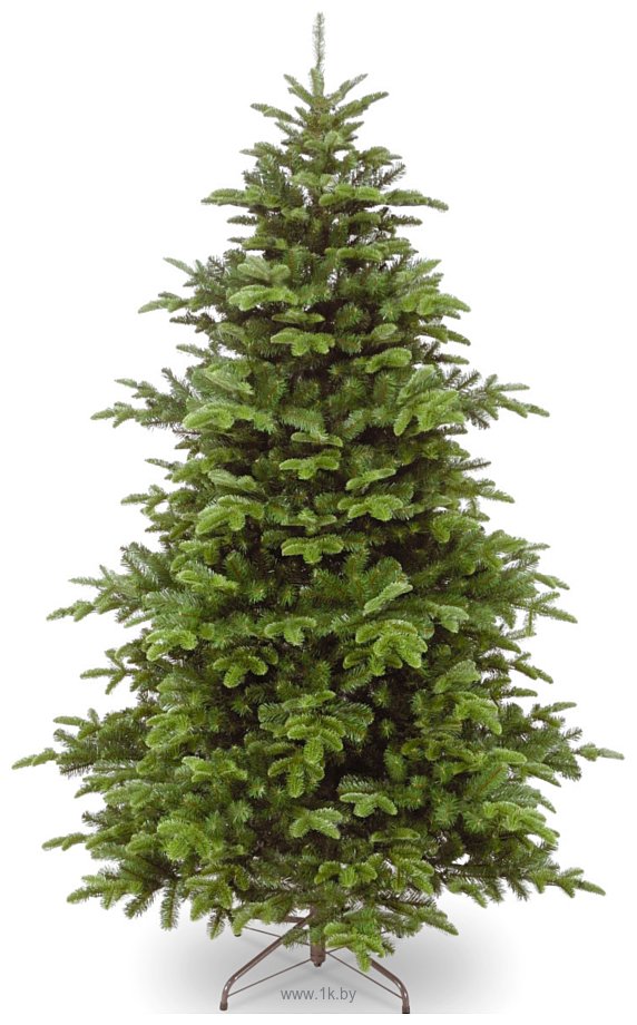 Фотографии National Tree Company Atwood Fir 2.25 м