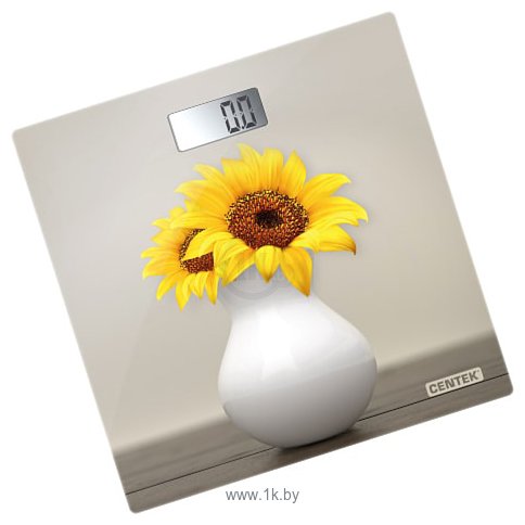 Фотографии CENTEK CT-2428 Sunflower