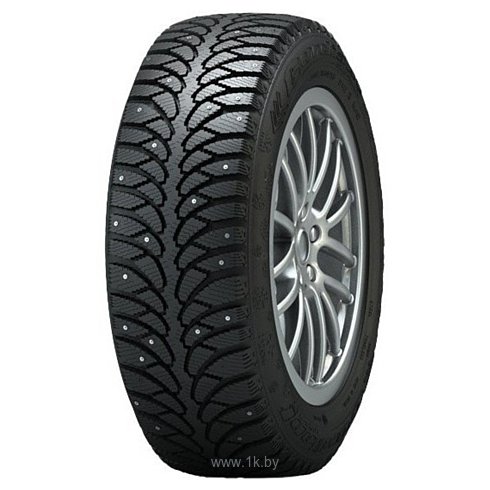 Фотографии Tunga Nordway 2 205/65 R15 94Q