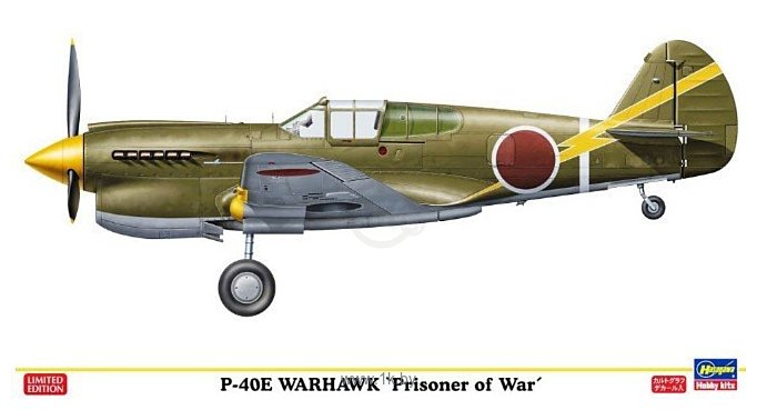 Фотографии Hasegawa Истребитель P-40E Warhawk Prisoner of War