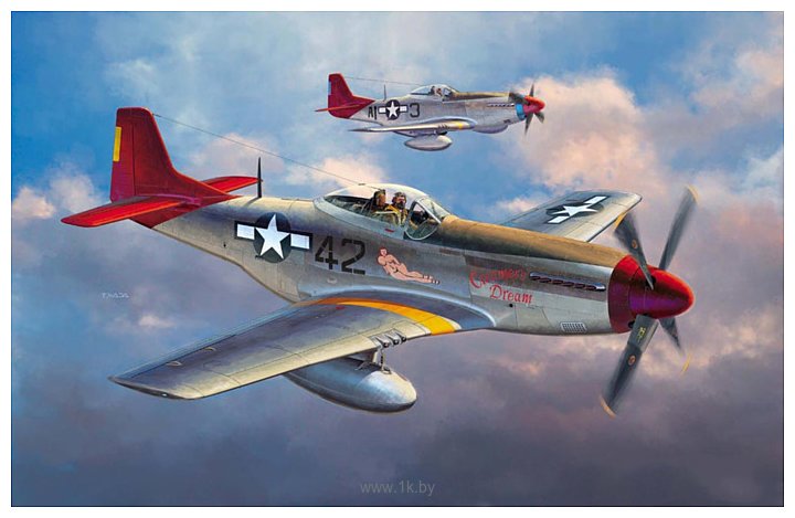 Фотографии Hasegawa Истребитель P51D Mustang Tuskegee Airmen