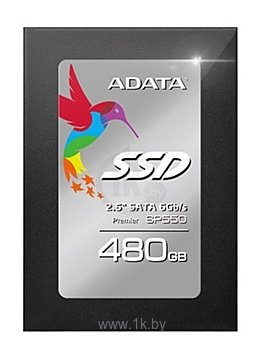 Фотографии ADATA Premier SP550 480GB