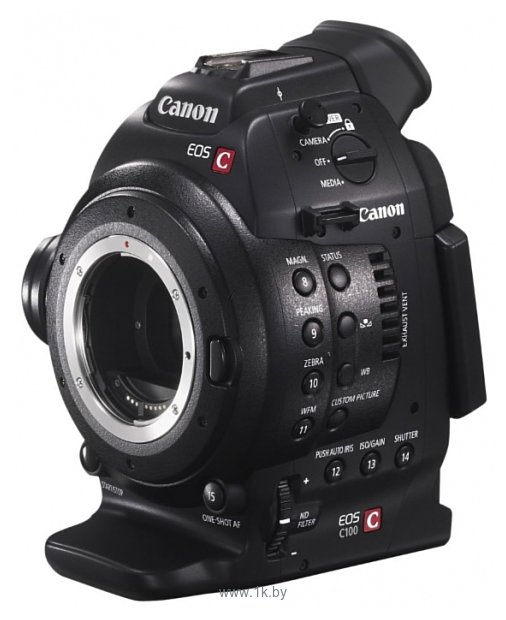 Фотографии Canon EOS C100