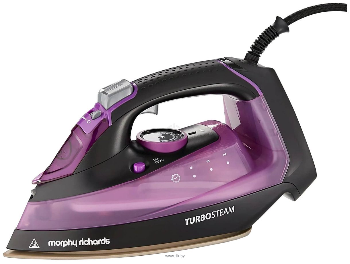 Фотографии Morphy Richards Turbosteam 303140