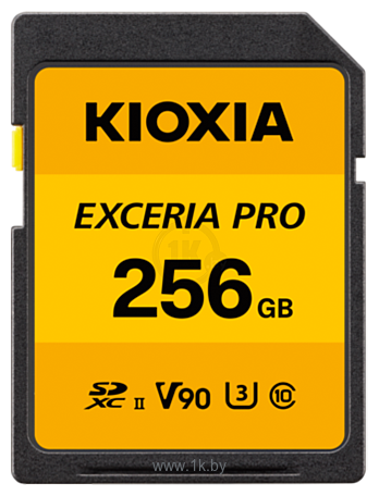 Фотографии Kioxia Exceria Pro 256GB LNPR1Y256G