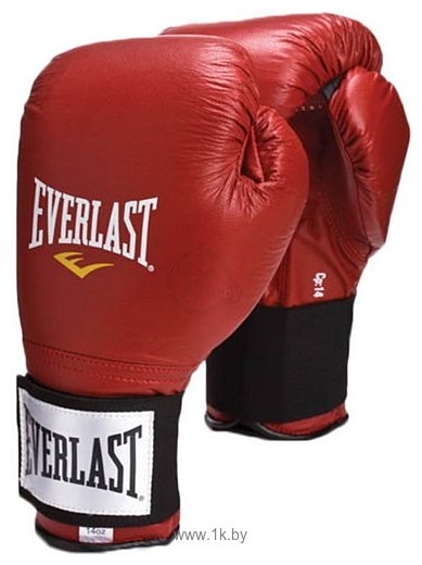 Фотографии Everlast Hook and Loop Professional Training Gloves