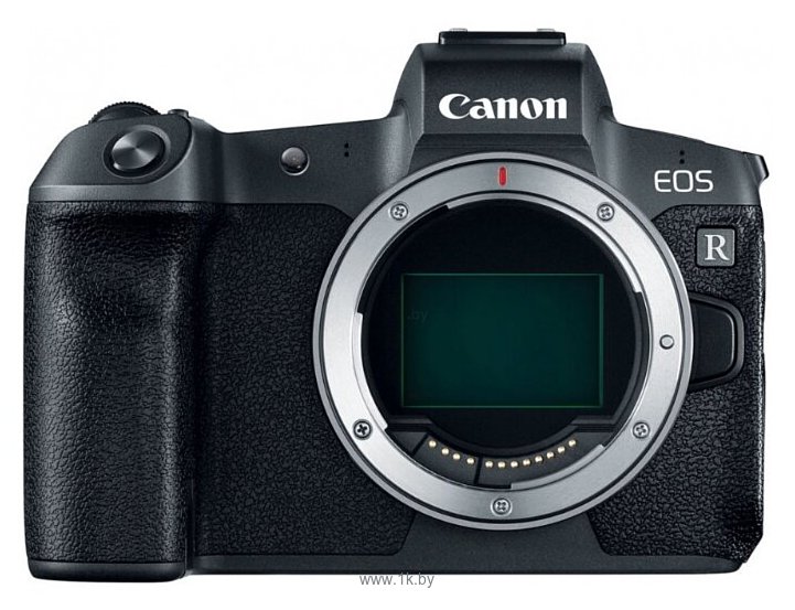 Фотографии Canon EOS R Body + EF-EOS R адаптер