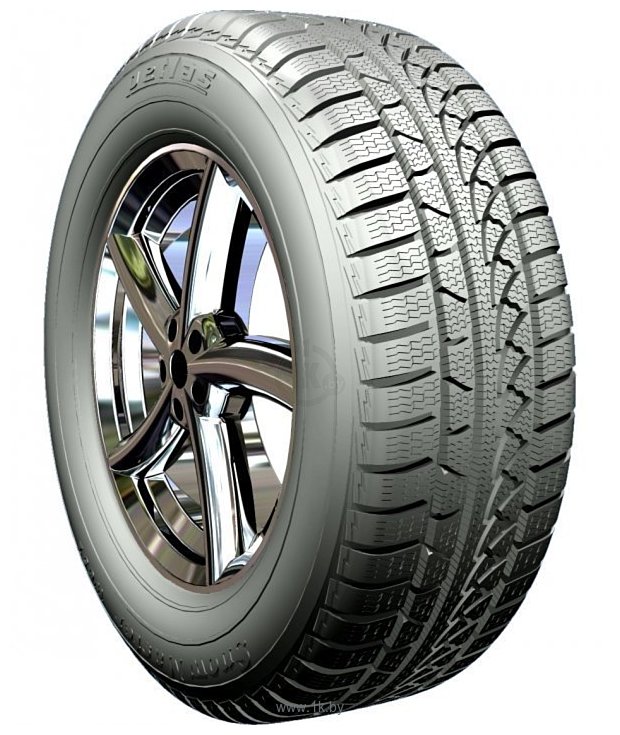 Фотографии Petlas SnowMaster W651 245/45 R19 102V