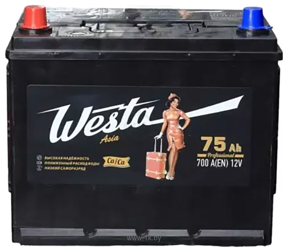 Фотографии Westa Black Asia R+ (75Ah)