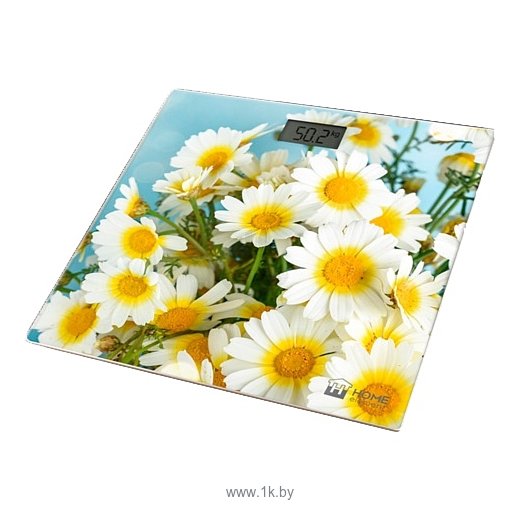 Фотографии Home Element HE-SC906 Camomile Field