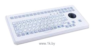 Фотографии InduKey TKS-105a-TB38-FP-PS/2-US/CYR White USB