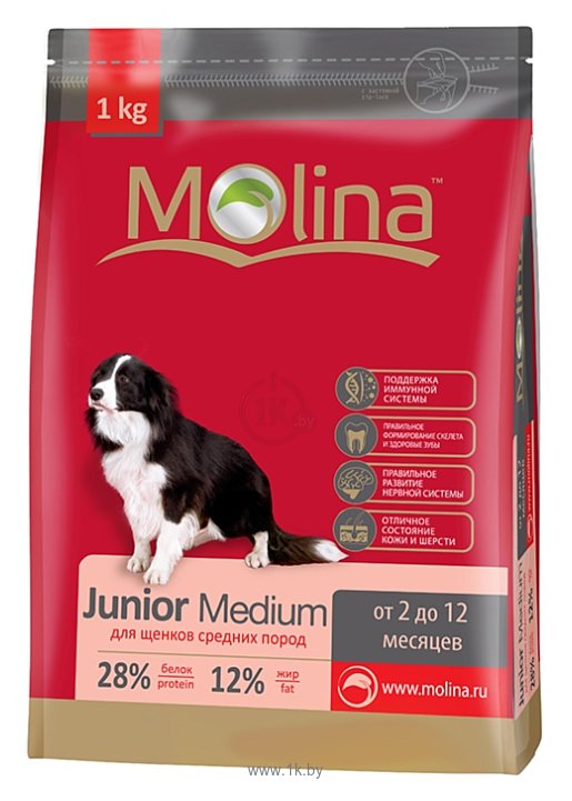 Фотографии Molina Junior Medium (7.5 кг)