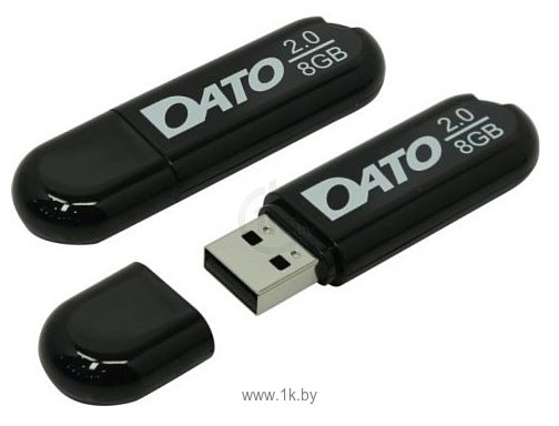 Фотографии DATO DS2001 8GB