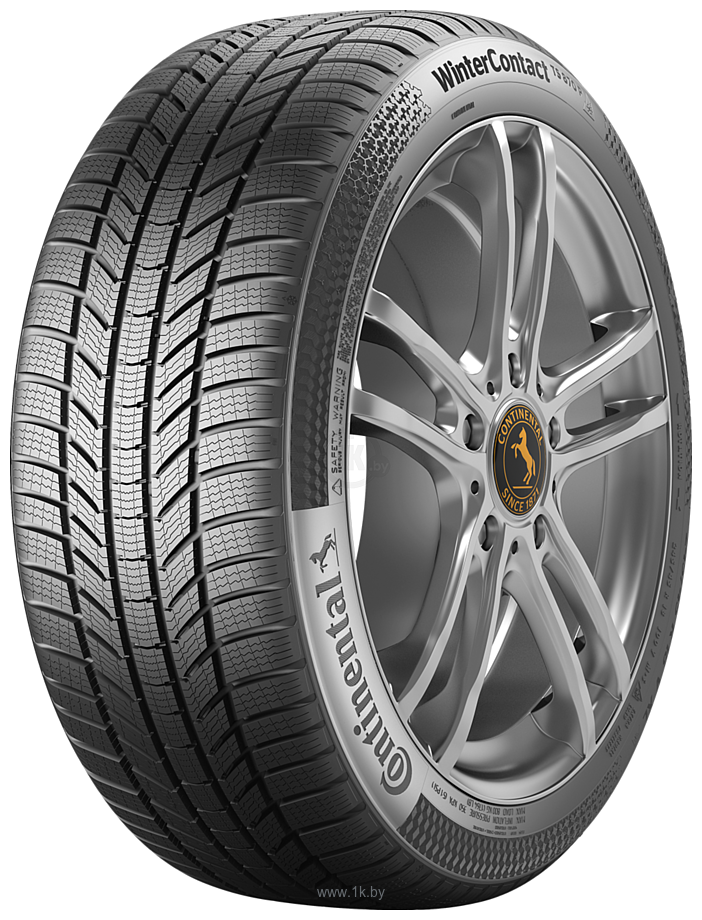 Фотографии Continental WinterContact TS 870 P 265/30 R20 94W XL