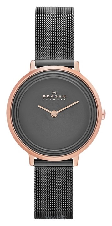 Фотографии Skagen SKW2277