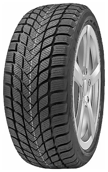 Фотографии Delinte Winter WD6 175/70 R14 88T