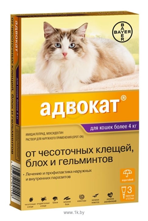 Фотографии Адвокат (Bayer) Адвокат для кошек более 4 кг (1 пипетка)