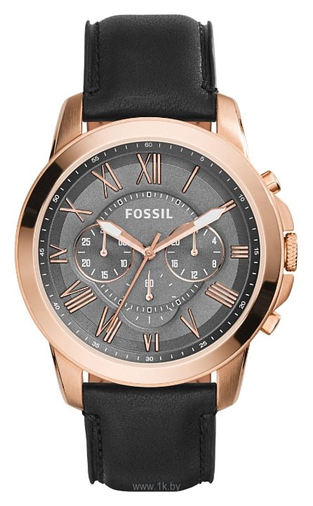 Фотографии Fossil FS5085