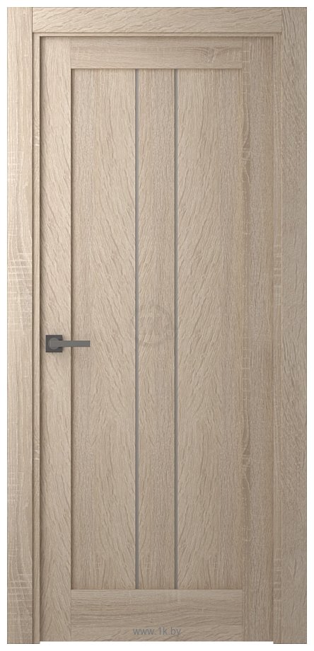 Фотографии Belwooddoors Челси 80 см (полотно глухое, экошпон, дуб дорато)