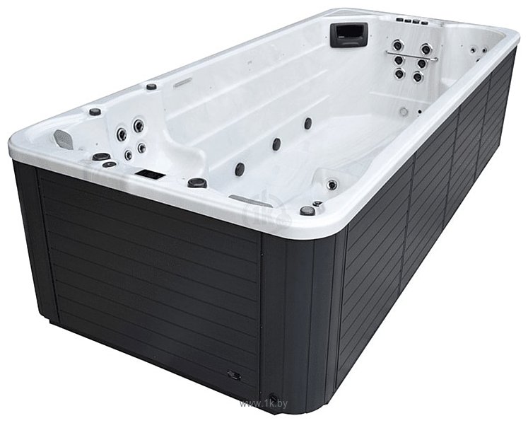 Фотографии Aquavia Spa Swimspa Bahamas 524x225 (sterling/synthetic grey)