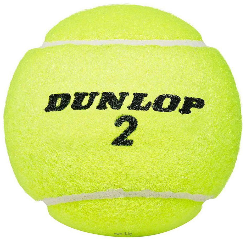 Фотографии Dunlop Club All Court (4 шт)