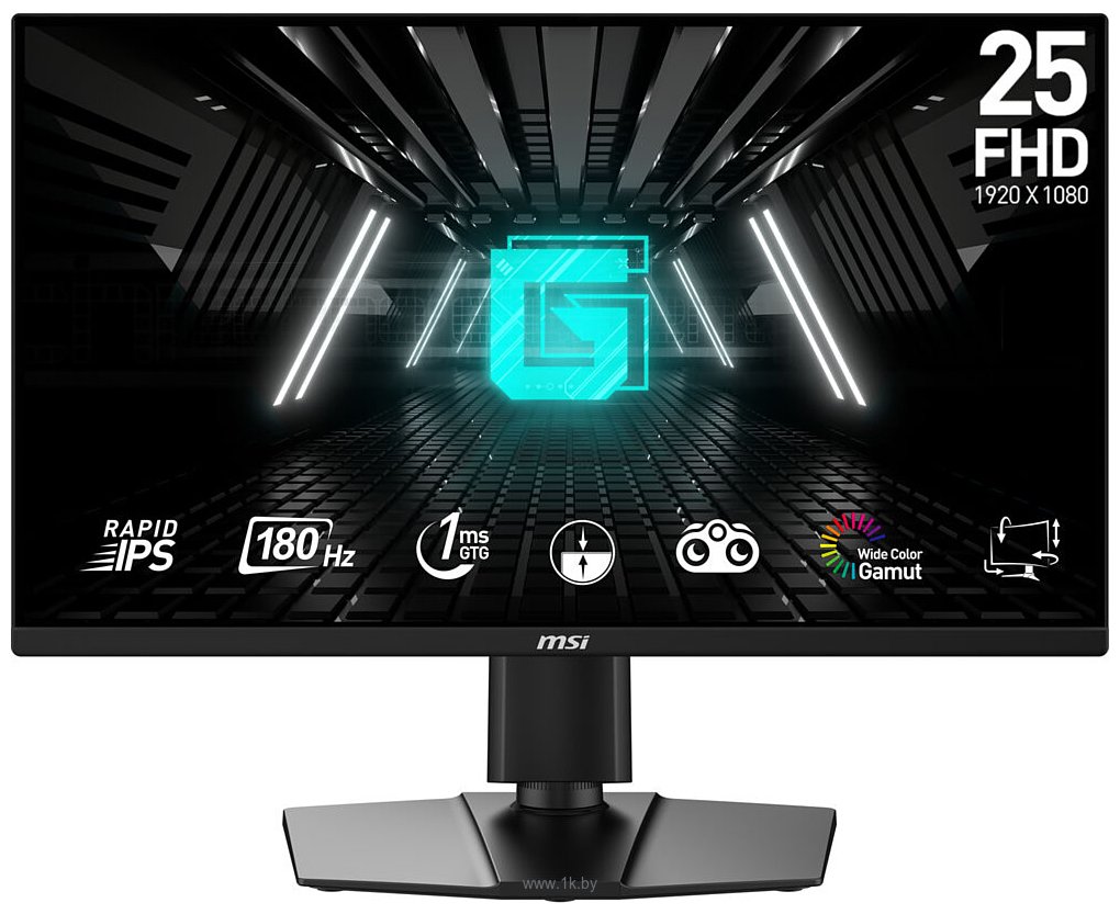 Фотографии MSI G255PF E2