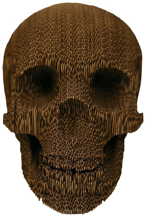 Фотографии Woodary Череп 4020 Фотографии Woodary Череп 4020