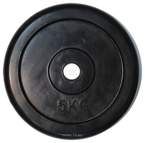 Фотографии American Fitness Regular Rubber Plate 5 кг