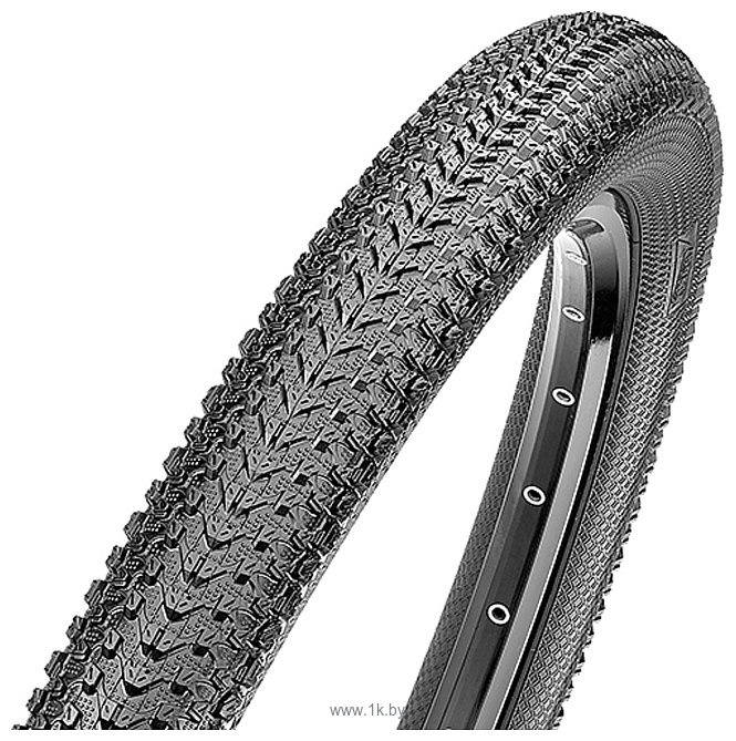 Фотографии Maxxis Pace 26x2.1 TB69309300