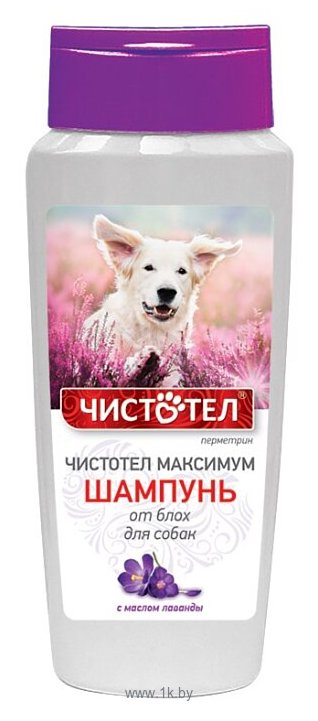 Фотографии ЧИСТОТЕЛ Максимум Шампунь от блох для собак 250 мл