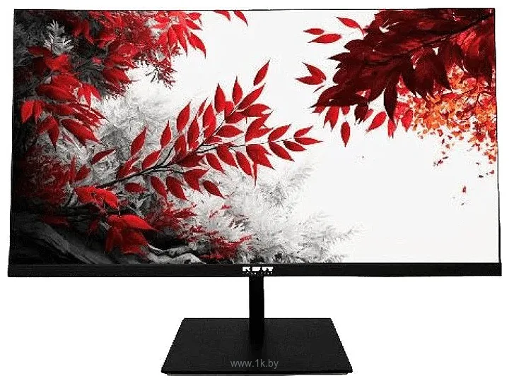 Фотографии RDW Computers RDW2702K/Q19В3100V2A1 Фотографии RDW Computers RDW2702K/Q19В3100V2A1