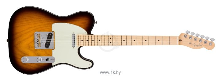 Фотографии Fender American Professional Telecaster