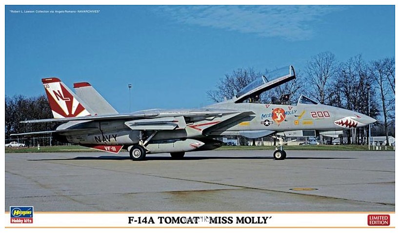Фотографии Hasegawa Истребитель-перехватчик F14A Tomcat Miss Molly