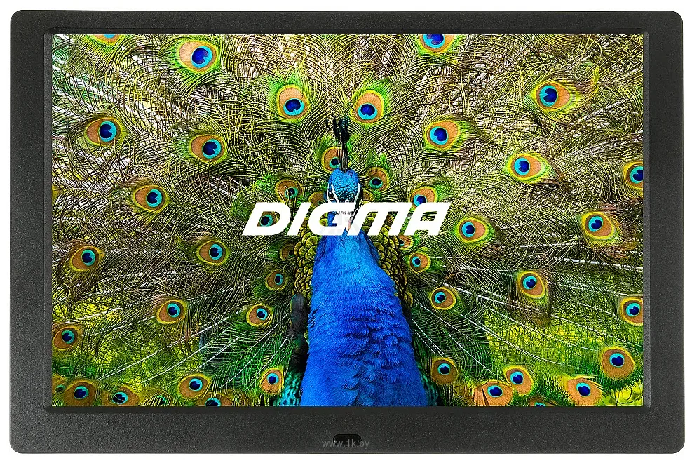 Фотографии Digma PF-1043